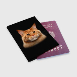 Обложка для паспорта матовая кожа Мейн-кун 6 - фото 2
