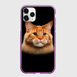 Чехол для iPhone 11 Pro матовый Мейн-кун 6