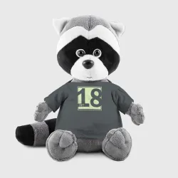 18 лет. День рождения