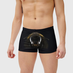 Мужские купальные плавки 3D Пчела - фото 2
