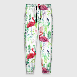 Мужские брюки 3D Цветы и фламинго 2