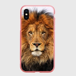 Чехол для iPhone XS Max матовый Красавец лев