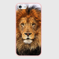 Чехол для iPhone 5/5S матовый Красавец лев