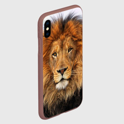 Чехол для iPhone XS Max матовый Красавец лев - фото 2
