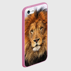 Чехол для iPhone 5/5S матовый Красавец лев - фото 2