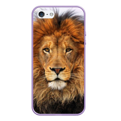 Чехол для iPhone 5/5S матовый Красавец лев