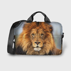 Сумка для ноутбука 3D Красавец лев