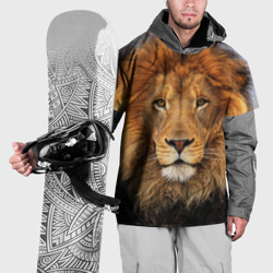 Накидка на куртку 3D Красавец лев