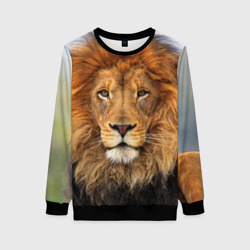 Женский свитшот 3D Красавец лев