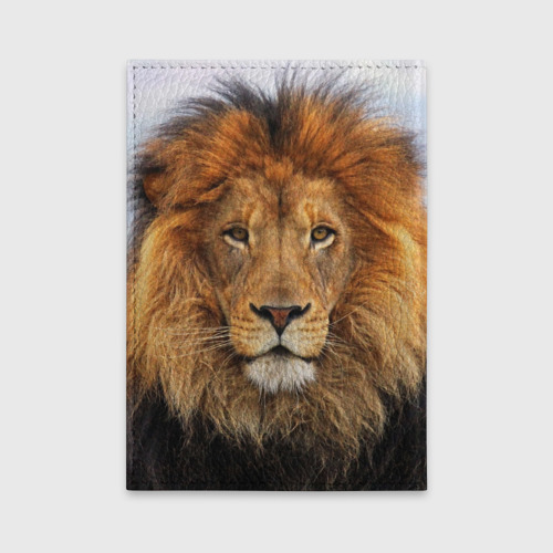 Обложка для автодокументов Красавец лев, цвет черный - фото 2