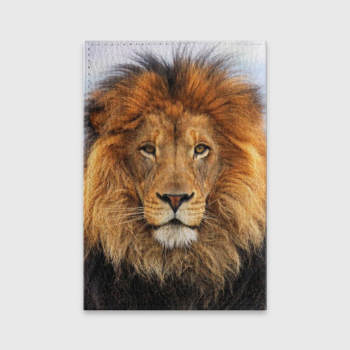 Обложка для паспорта матовая кожа Красавец лев, цвет черный - фото 2