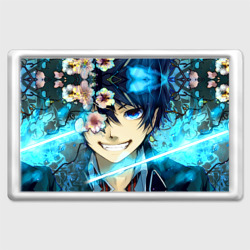 Магнит 45*70 Blue Exorcist flowers