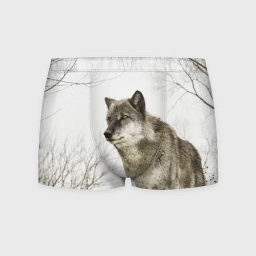 Трусы с рисунком волка