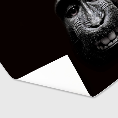 Бумага для упаковки 3D обезьяна - фото 3