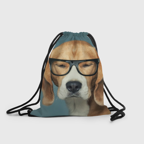 Рюкзак-мешок 3D Бигль