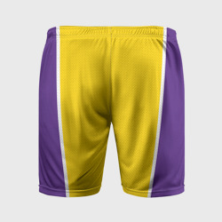 Мужские шорты спортивные Lakers