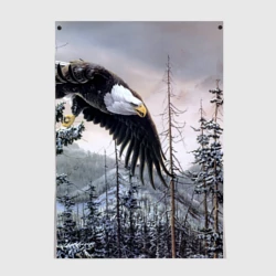 Постер Орел