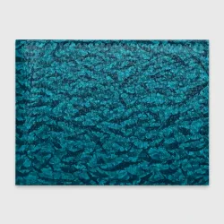 Обложка для студенческого билета Акулы