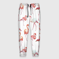 Мужские брюки 3D Узор из фламинго