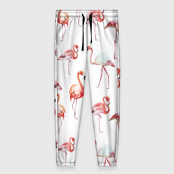 Женские брюки 3D Узор из фламинго