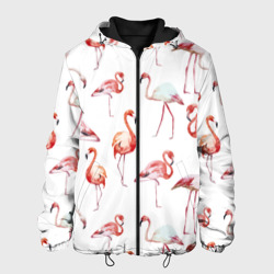 Мужская куртка 3D Узор из фламинго