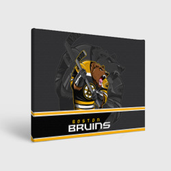 Холст прямоугольный Boston Bruins