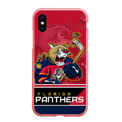 Чехол для iPhone XS Max матовый Florida Panthers