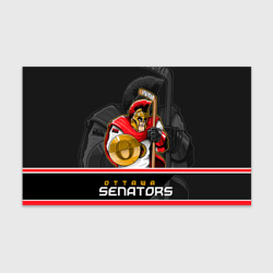 Бумага для упаковки 3D Ottawa Senators