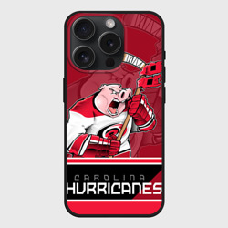 Чехол силиконовый для Apple iPhone 15 Pro матовый Carolina Hurricanes