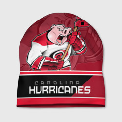 Шапка 3D Carolina Hurricanes