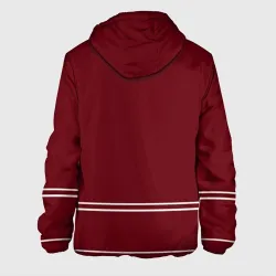 Мужская куртка 3D Arizona Coyotes