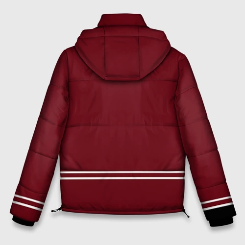 Мужская зимняя куртка 3D Arizona Coyotes