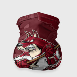 Бандана-труба 3D Arizona Coyotes