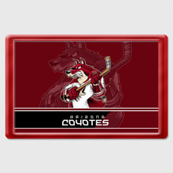 Магнит 45*70 Arizona Coyotes