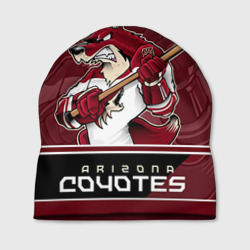 Шапка 3D Arizona Coyotes