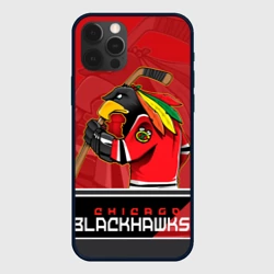 Чехол для iPhone 12 Pro Chicago Blackhawks