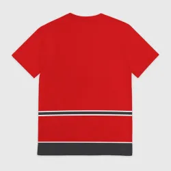 Мужская футболка 3D Chicago Blackhawks - фото 2