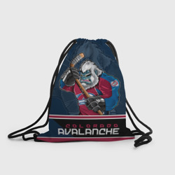 Рюкзак-мешок 3D Colorado Avalanche