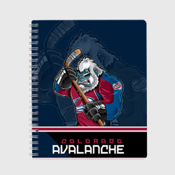 Тетрадь Colorado Avalanche