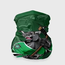 Бандана-труба 3D Dallas Stars