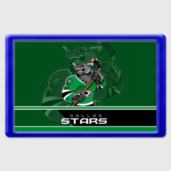 Магнит 45*70 Dallas Stars