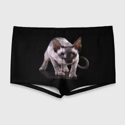 Мужские купальные плавки 3D Сфинкс