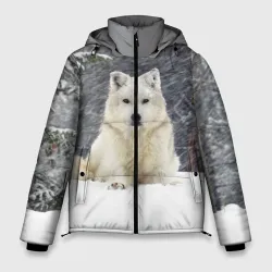 Мужская зимняя куртка 3D Snow