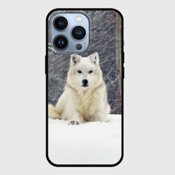 Чехол для iPhone 13 Pro Snow