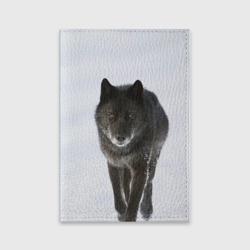 Обложка для паспорта матовая кожа Черный волк