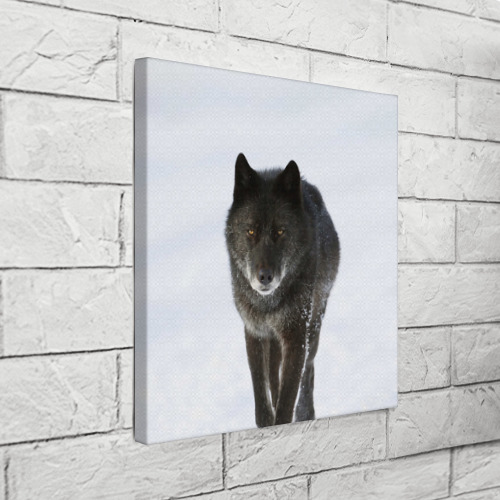Холст квадратный Черный волк, цвет 3D печать - фото 3