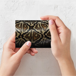 Поздравительная открытка Кожа змеи - фото 2