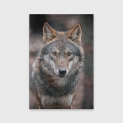 Обложка для паспорта матовая кожа Wolf