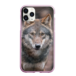 Чехол для iPhone 11 Pro Max матовый Wolf