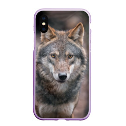 Чехол для iPhone XS Max матовый Wolf